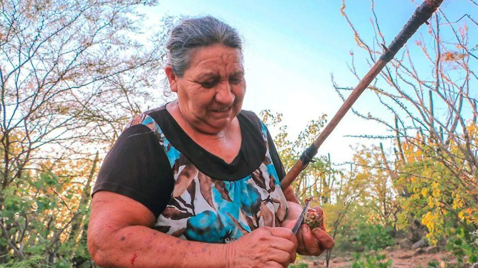 Concurco foto mujer pitahaya